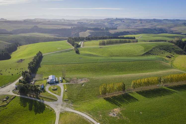 98 Johnstons Road Five Forks and Surrounds_1