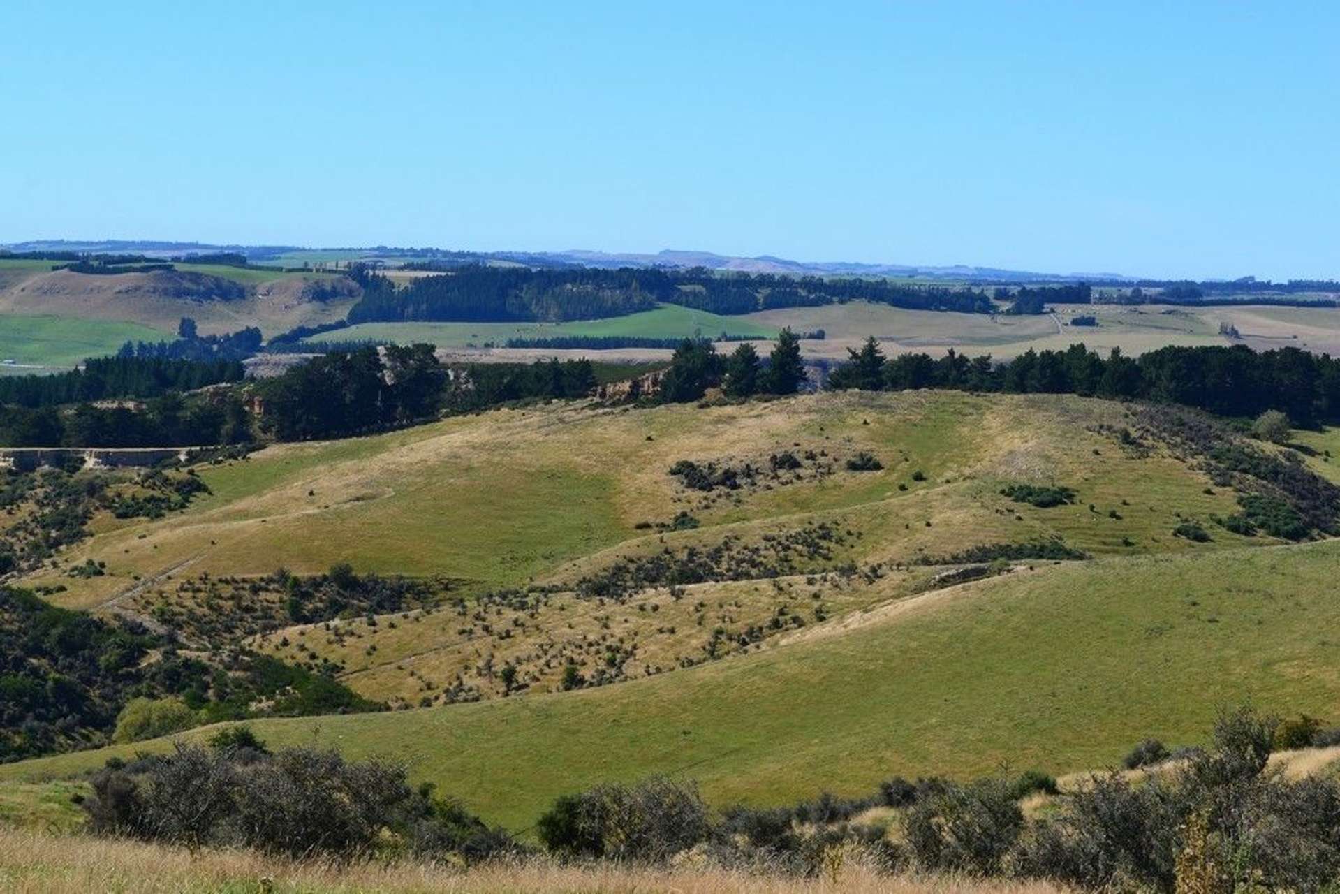 West Maerewhenua Road North Otago Surrounds_0