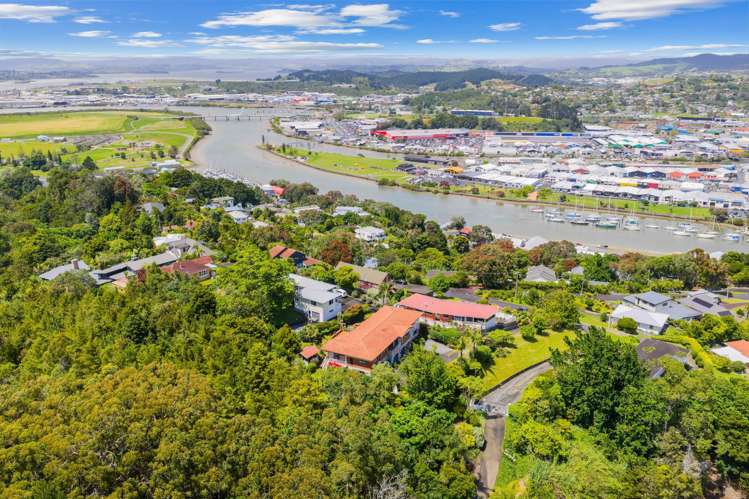 25A Punga Grove Avenue Riverside_3