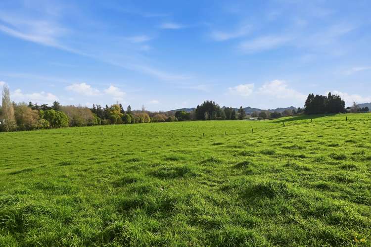 365 Halcrow Road Reporoa_22