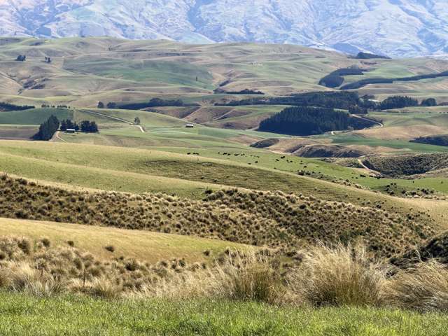 665-901 Tima Burn Road Teviot_1