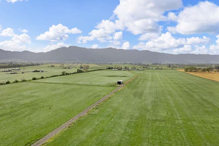 Waghorn Road Manawaru_10