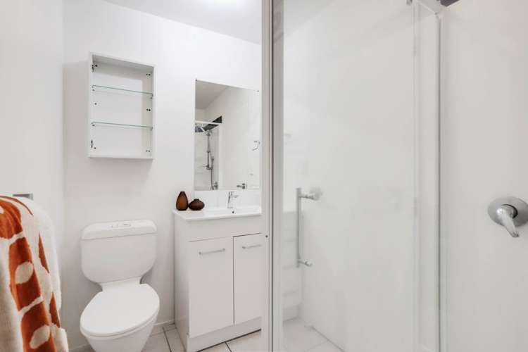 103 Mccullough Avenue Mount Roskill_12