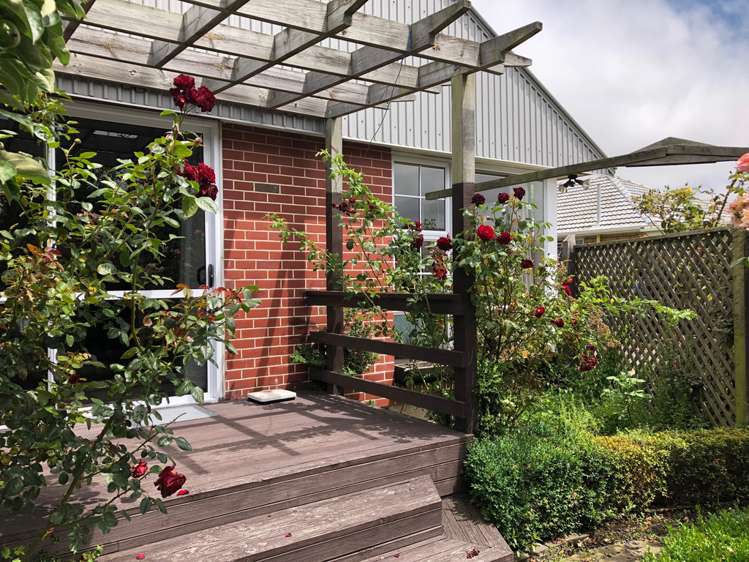 5 Montague Street Islington_16