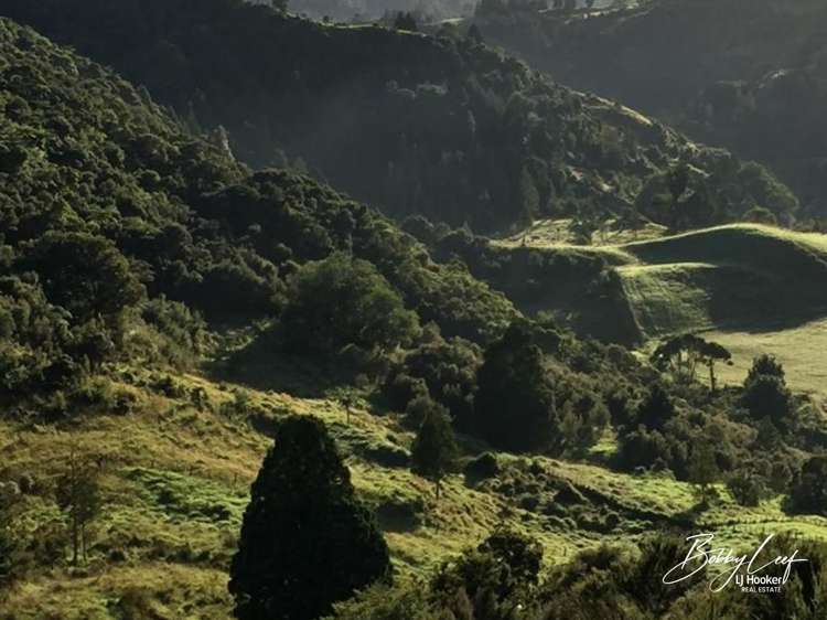 139 Warner Road Takahue_4