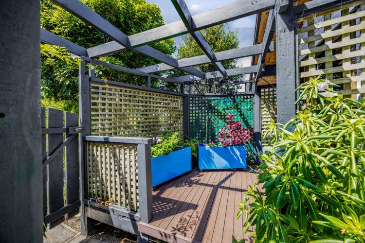 31 Hua Street Bell Block_24