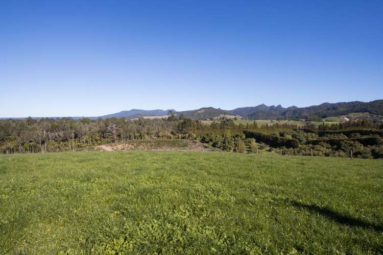 291 Rea Road Hauraki Surrounds_2