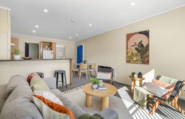 14/3 Kelvin Grove Te Aro_2