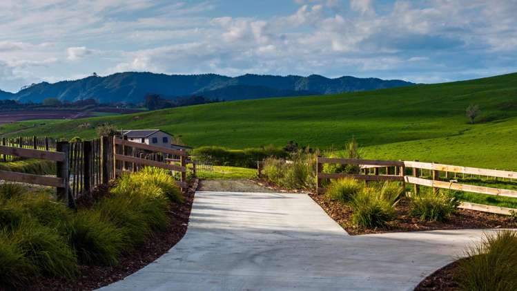 989E Kaiwaka-Mangawhai Road_3