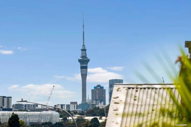 686 Sandringham Road Sandringham_19