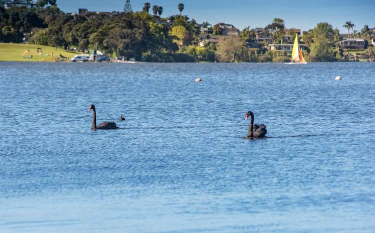 204/28 Killarney Street Takapuna_14