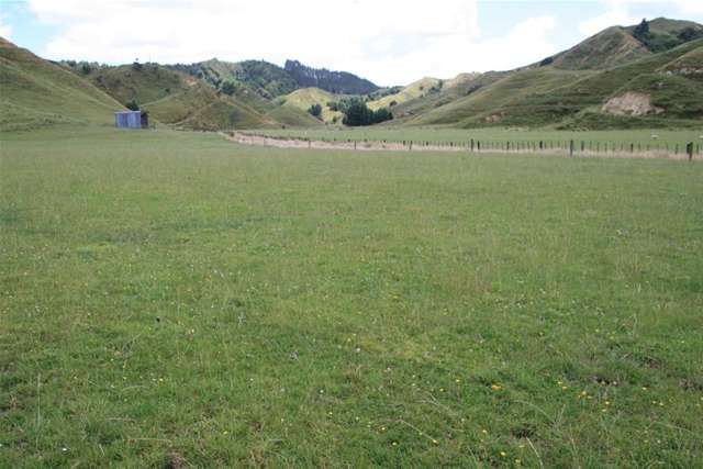 Walter Road Douglas_4