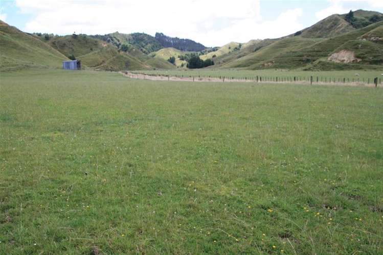 Walter Road Douglas_4