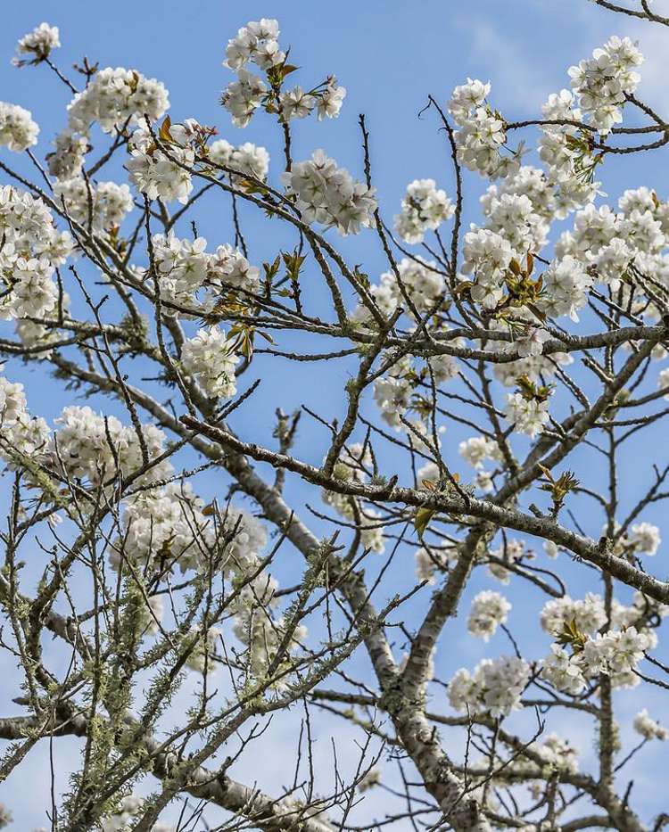 61A Kahu Road Paremata_15