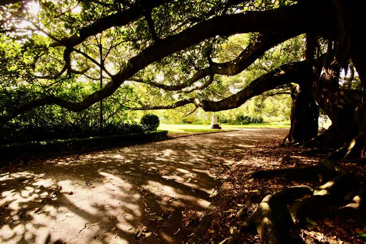 2002/6 Lorne Street Auckland Central_17