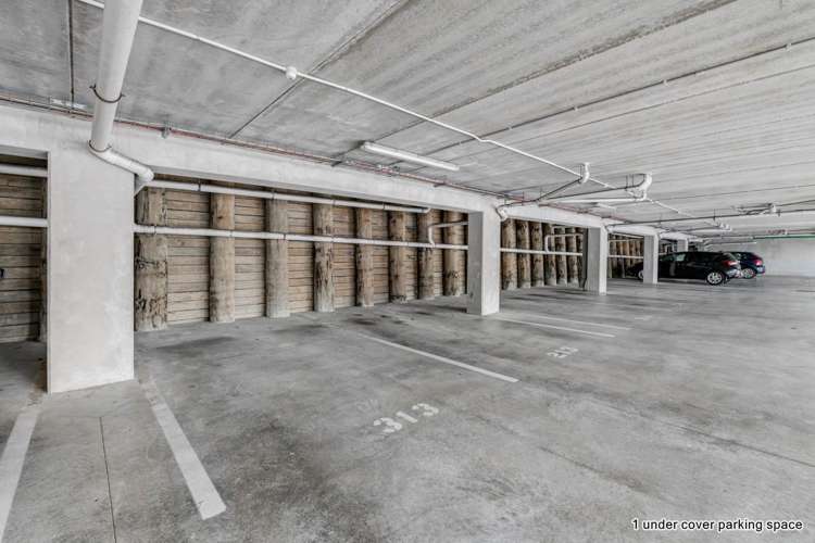 313/17 Link Crescent Stanmore Bay_13