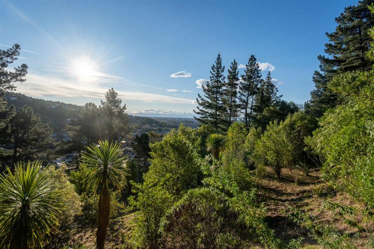 68 Rapaki Road Hillsborough_8