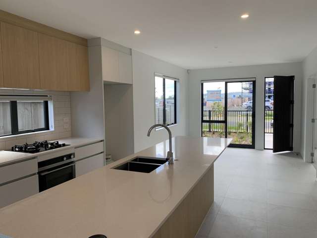 4 VIRIDIAN AVENUE "PARK GREEN" Papakura_2