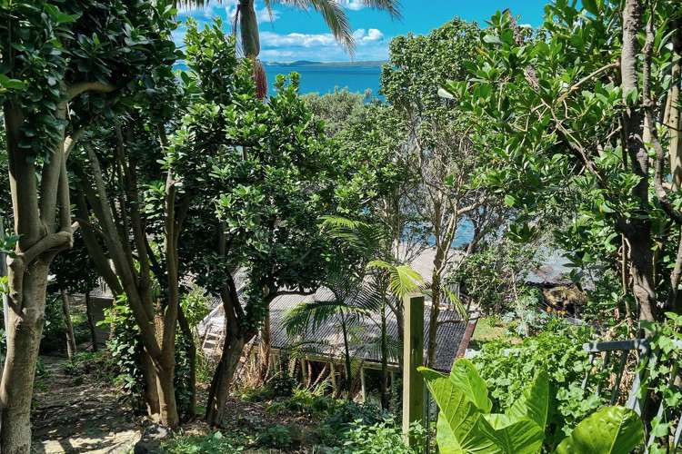 9 Kitchener Road Takapuna_17