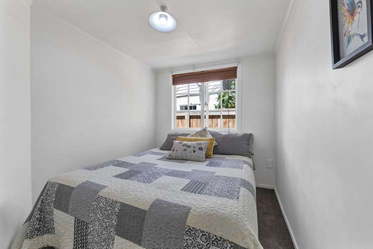 25A Saxton Road Vogeltown_7