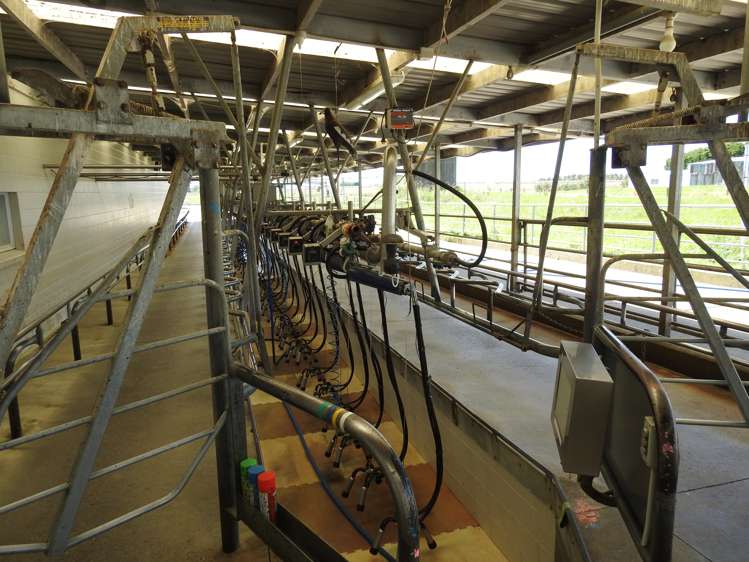 45 Rimu Seaward Downs Road Wyndham Surrounds_7