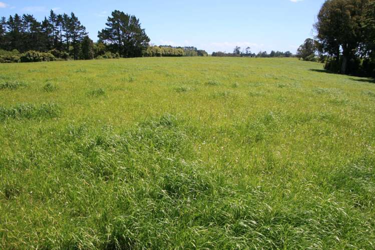 202 Wortley Road Lepperton_7