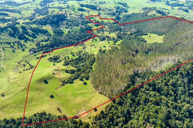 255 O'Carroll Road Maungakaramea_18