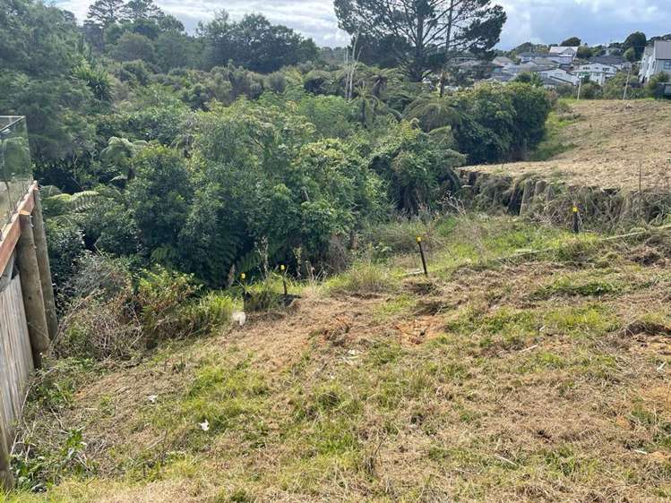 1 Kaimai Avenue Massey_6