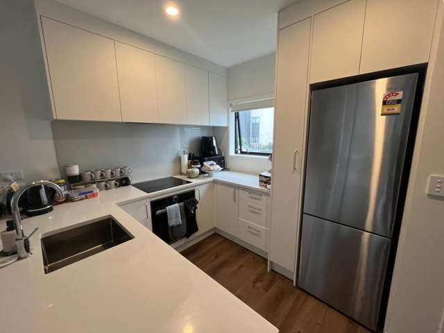 67 Tuaiwi Street City Centre_2