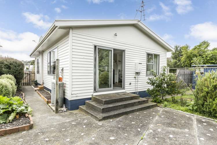 3a Liverpool Street Miramar_0