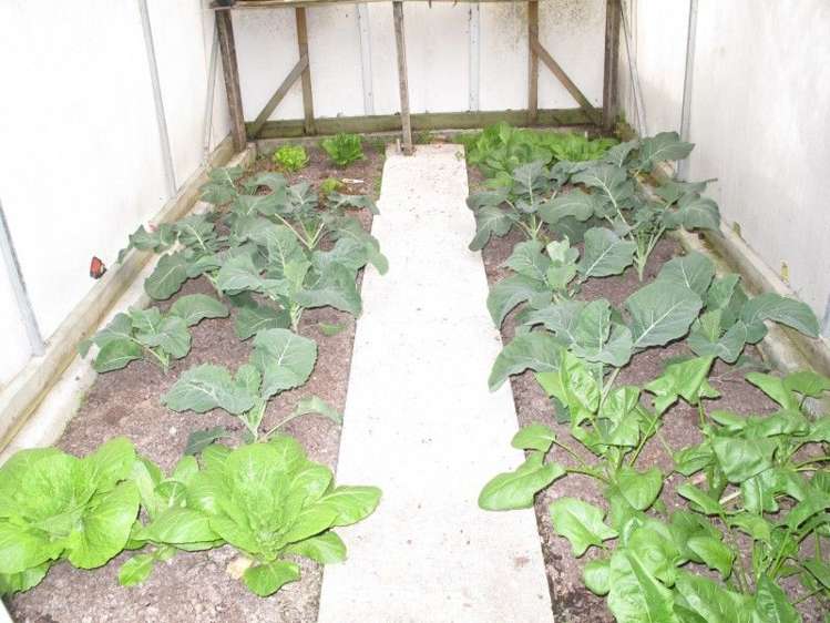 27 Cooper Road Gladstone_25