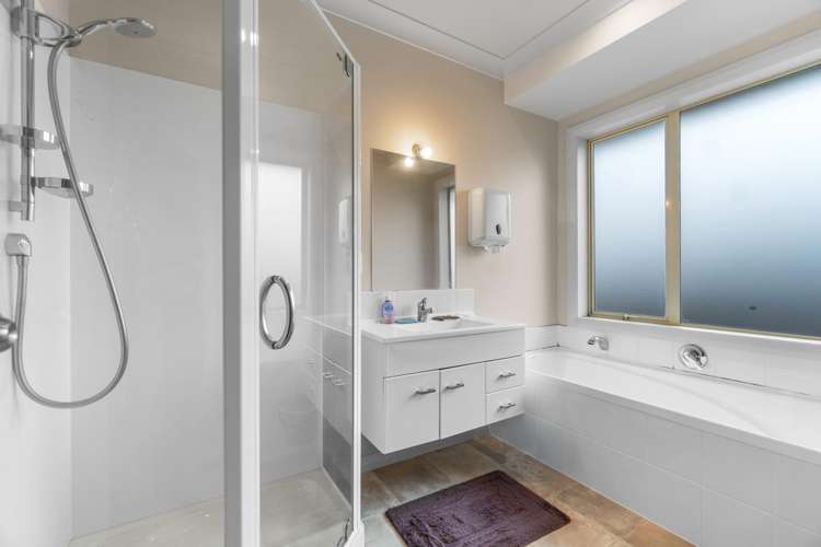 250A Park Road Te Awamutu_7