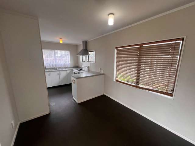 Subritzky Avenue Mt Roskill_2