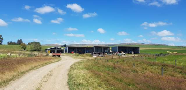 182 Beacon Hill Road Wairuna_3