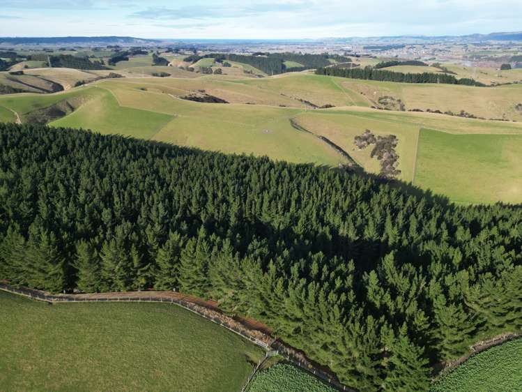 92 Cameron Road Hillend_19