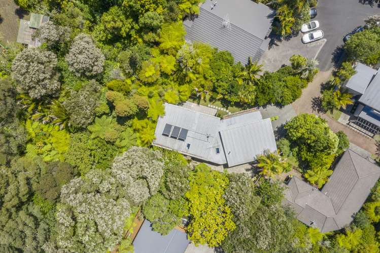 14 Poturi Streams Avenue Titirangi_6