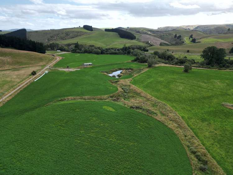 19 Shaw Road Glenpark_7