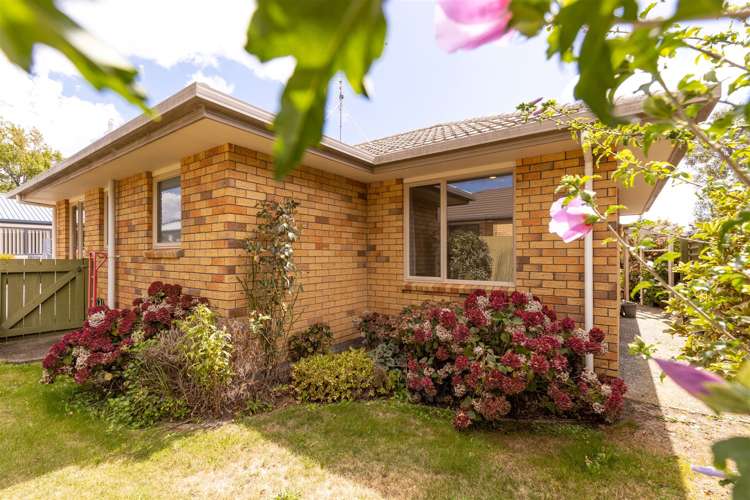 33b Litchfield Street Redwoodtown_14