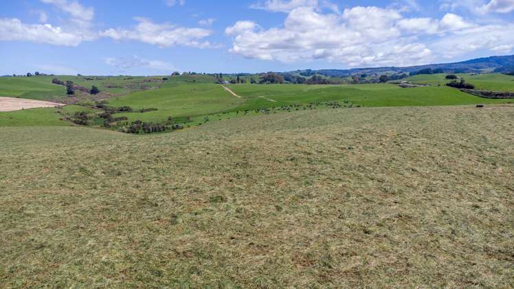 850 Ormsby Road Pirongia_3