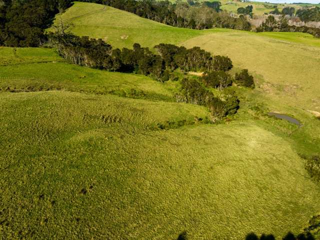 Pakaru Road Kawakawa_4