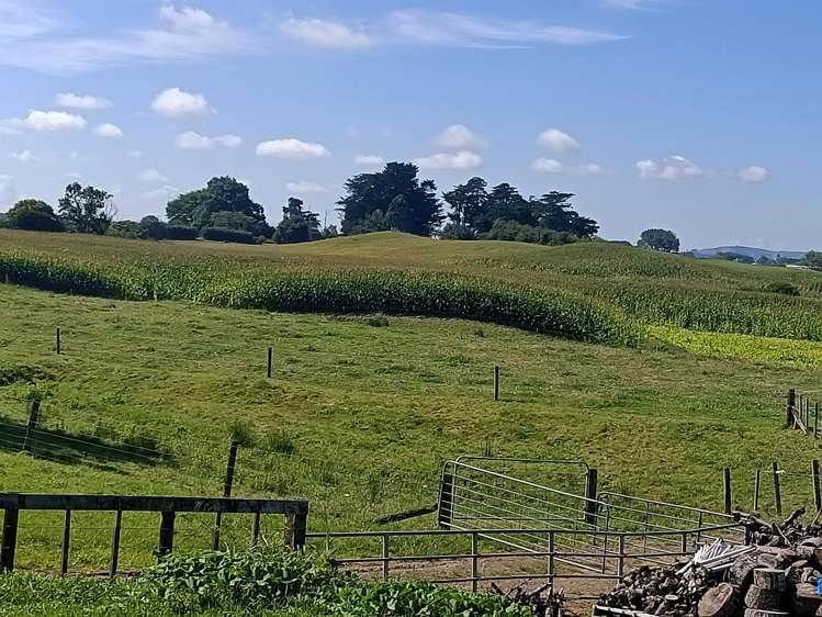 863 Tauhei Road Tauhei_1