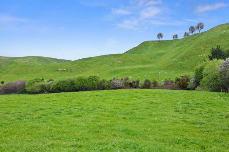 166 Airstrip Road Pikowai_28