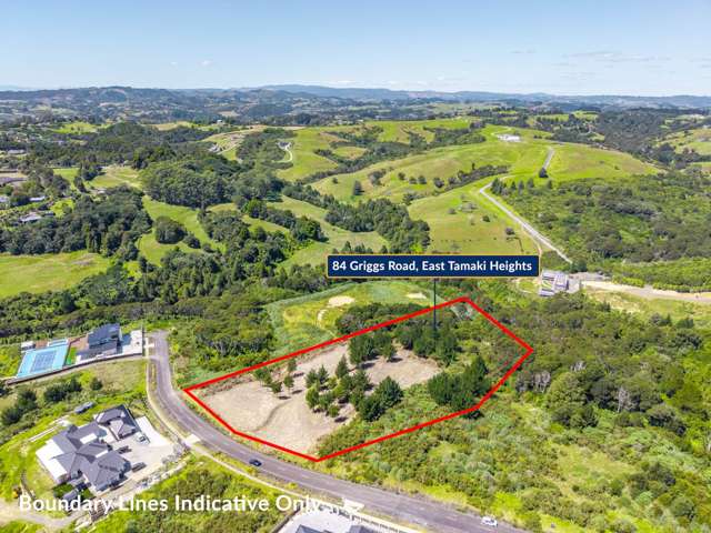 84 Griggs Road East Tamaki Heights_4