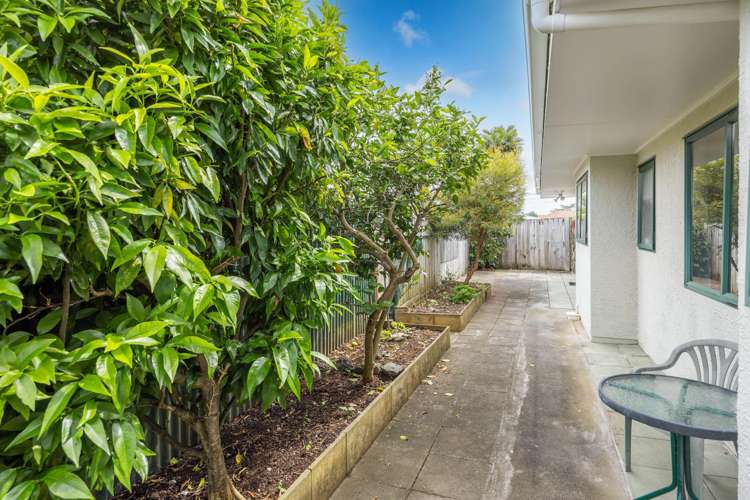 303b Mutu Street Te Awamutu_14