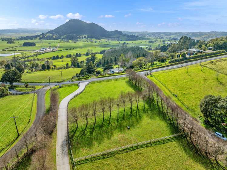 461A Apotu Road Kauri_6