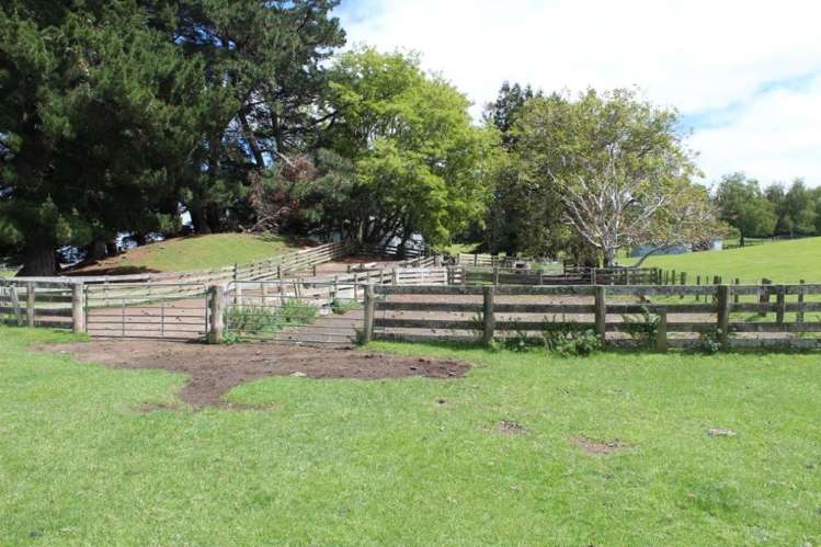 378 Ridgemount Road Tutira_10