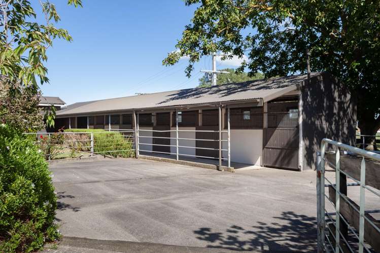 4602A State Highway 29 Matamata_7