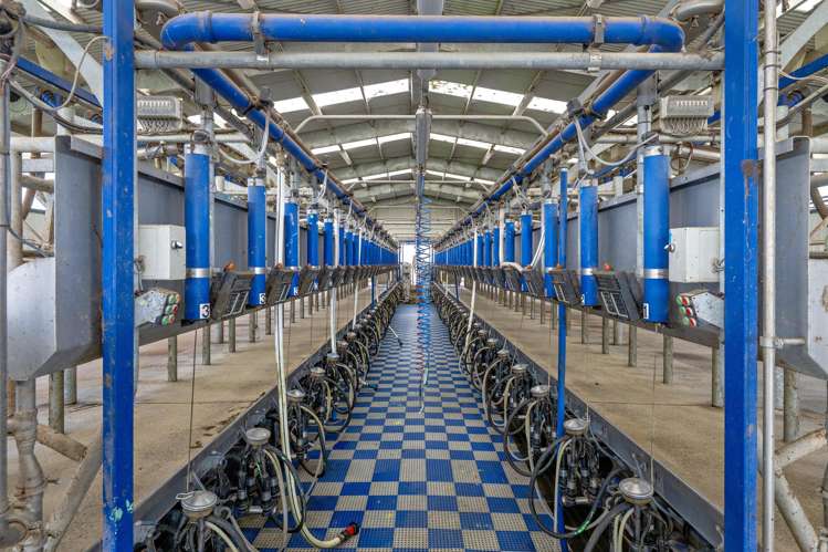 Queens Farm, 16 McGinley Road Opotiki_7