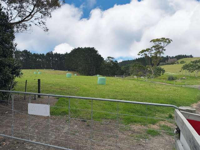 75 Kai Iwi Lakes Road Dargaville_2