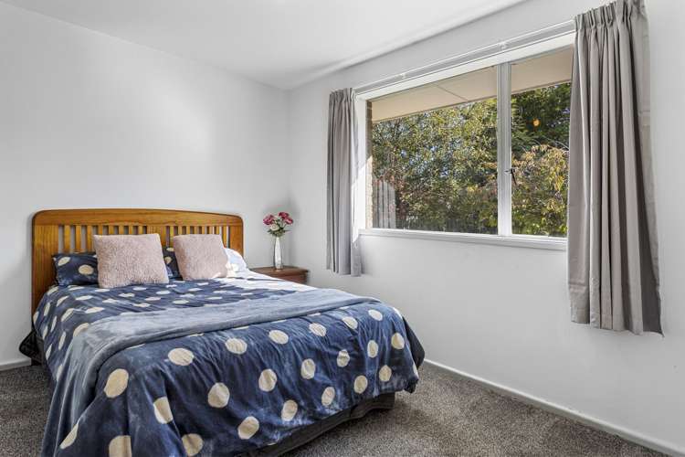 147 Carters Road Amberley_9